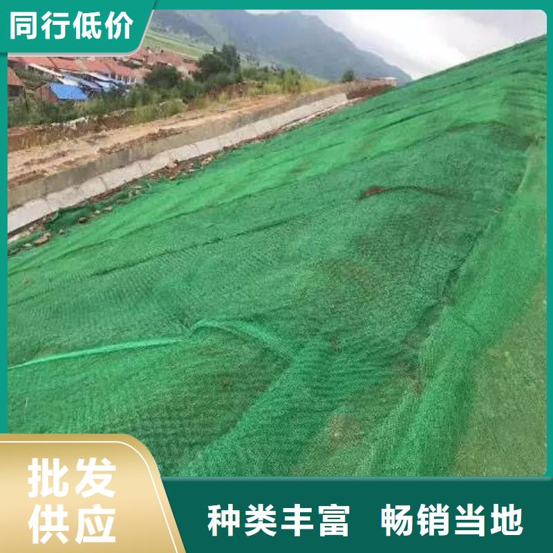 三维植被网规格参数量大从优