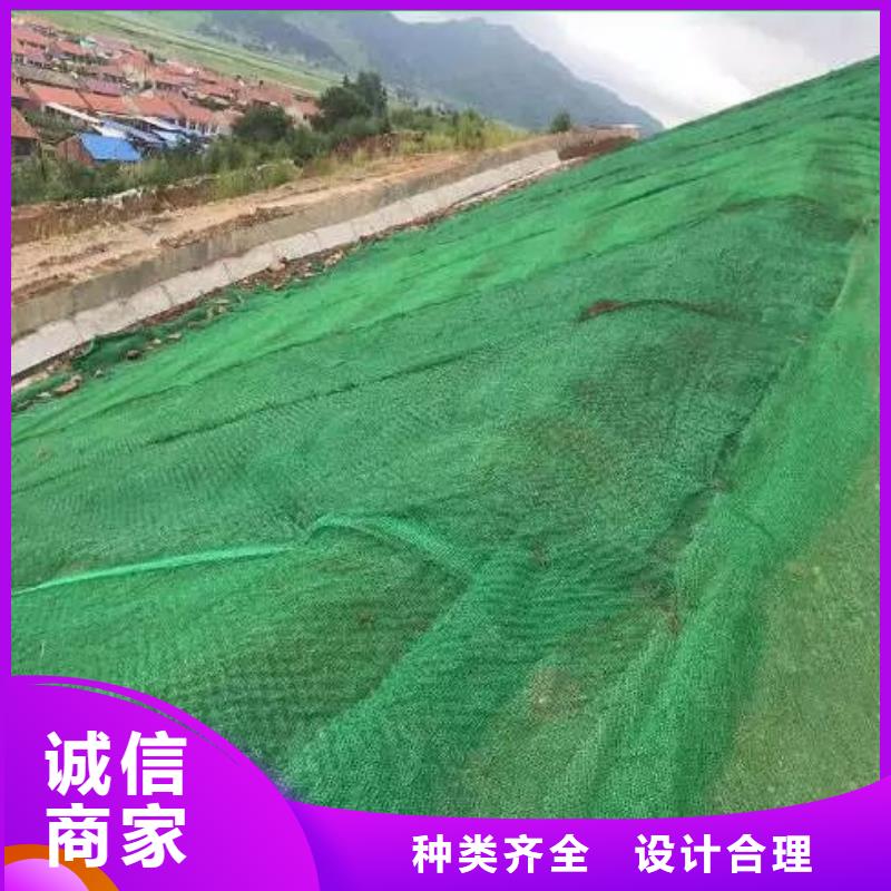 三维植被网沥青麻丝板实力厂家直销