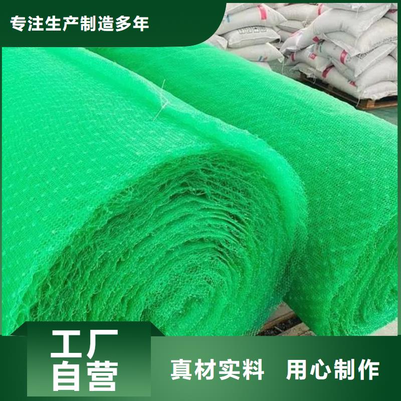 三维植被网沥青麻丝板实力厂家直销