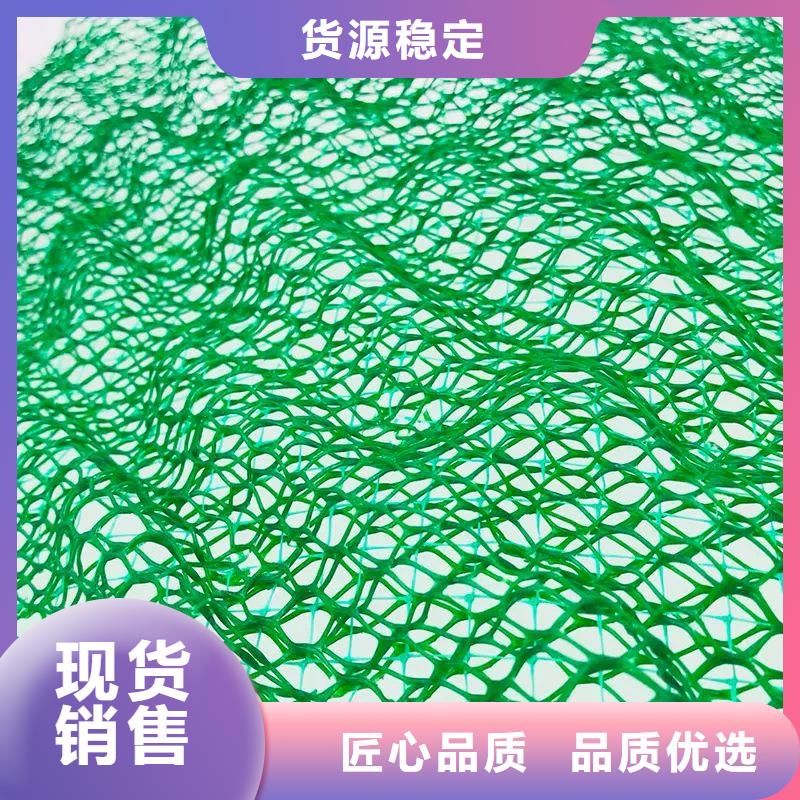 三维植被网沥青麻丝板实力厂家直销