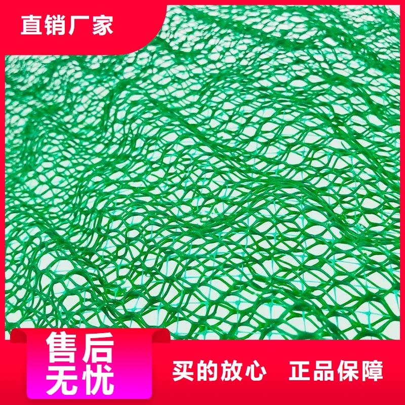 三维土工网垫图片生产厂家-值得信赖