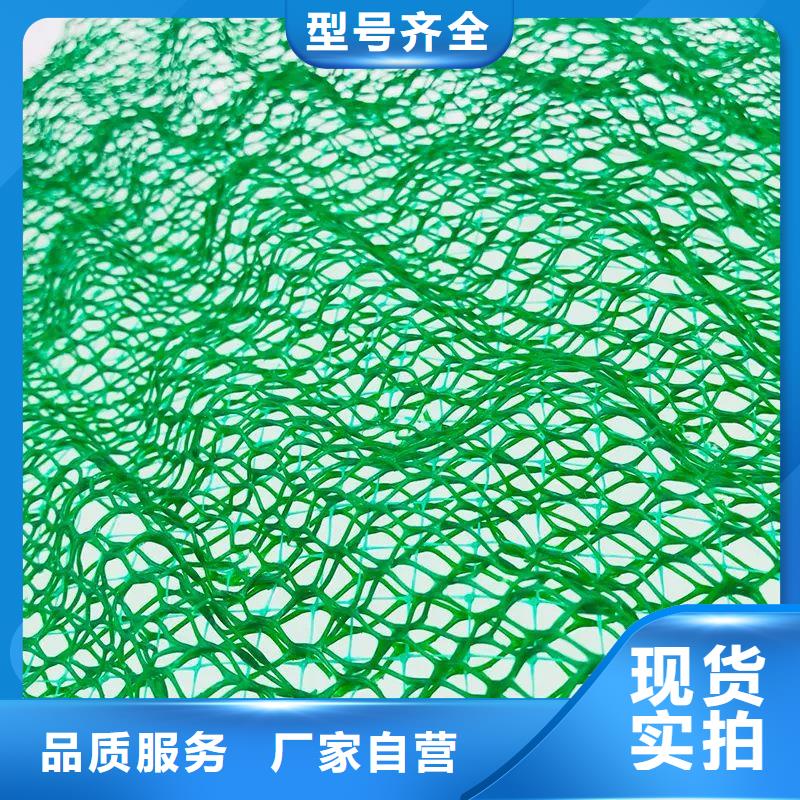三维土工网多少钱一平方选对厂家很重要