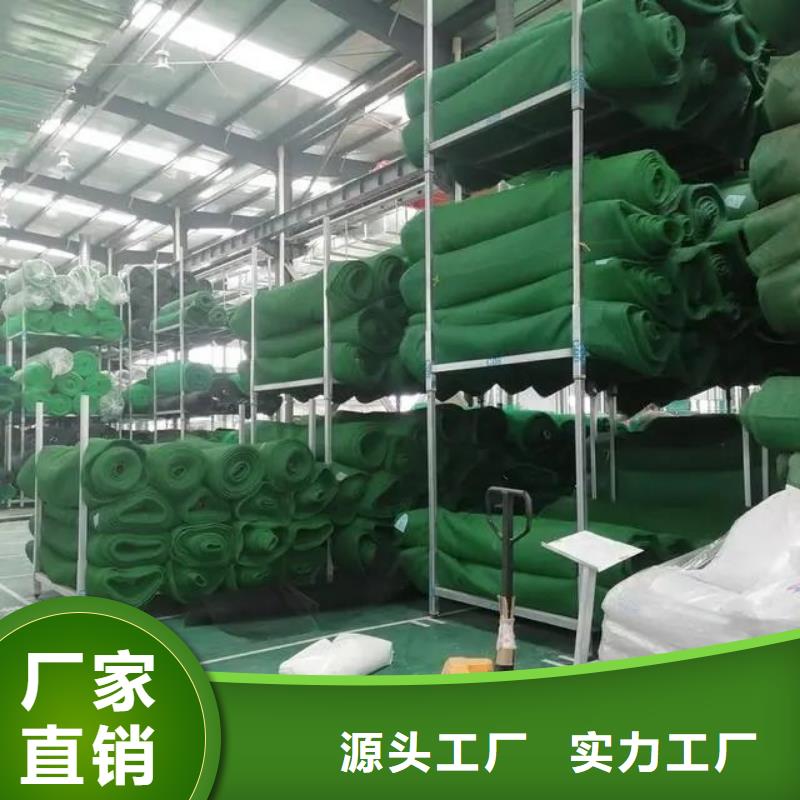 三维植被网沥青麻丝板实力厂家直销
