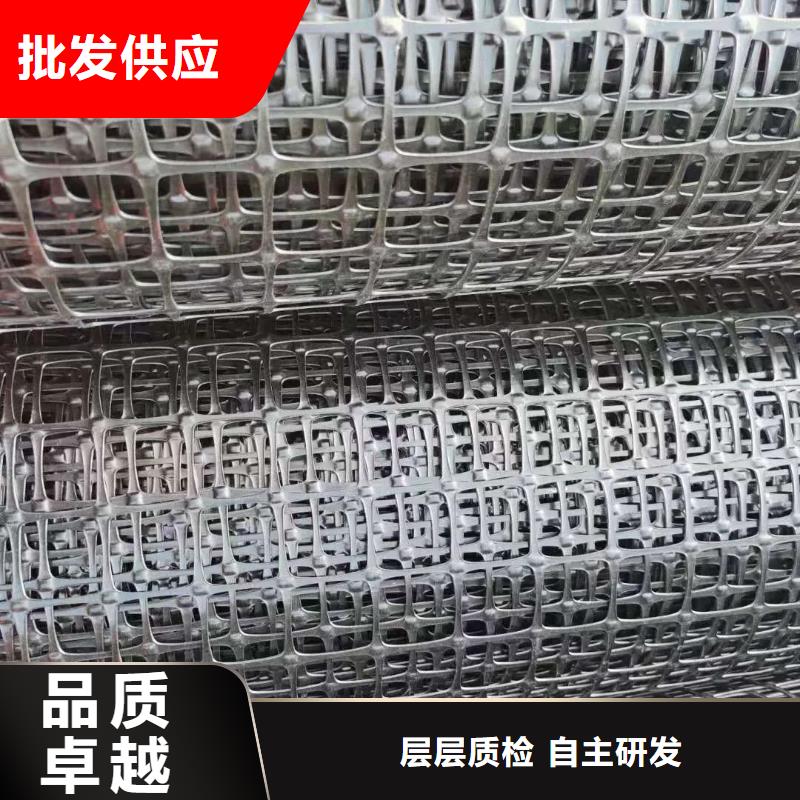 钢塑土工格栅种植基地厂家