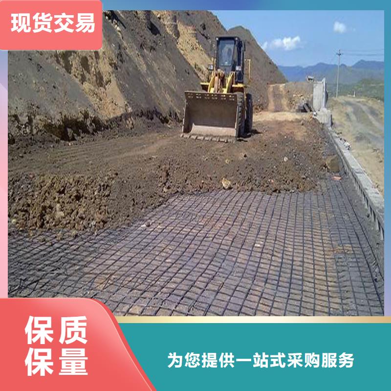 双向土工格栅现货报价电话
