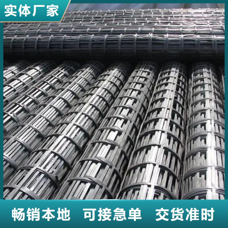 钢塑格栅实体大厂厂家