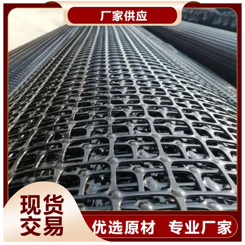 单向土工格栅种类齐全厂家