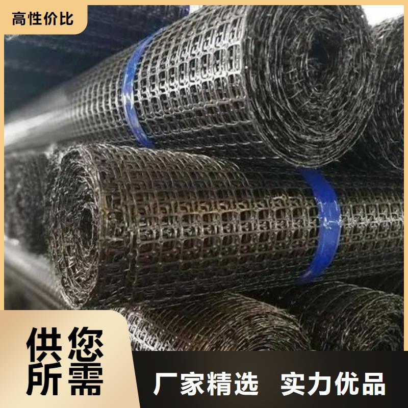 钢塑格栅品牌厂家厂家