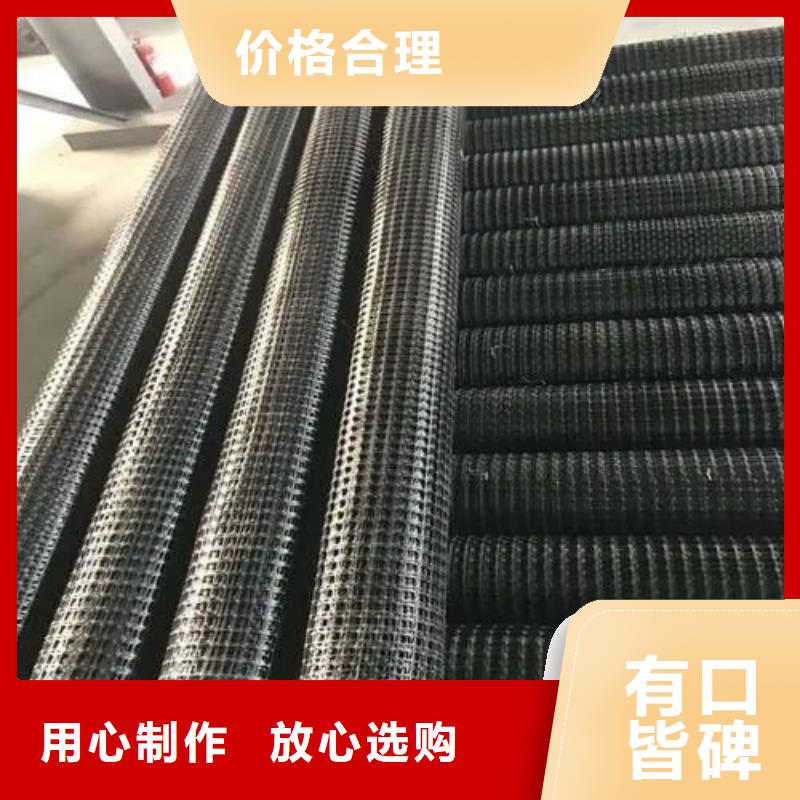 钢塑格栅实体大厂厂家
