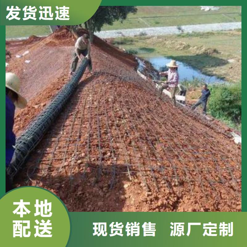 钢塑土工格栅价格低电话