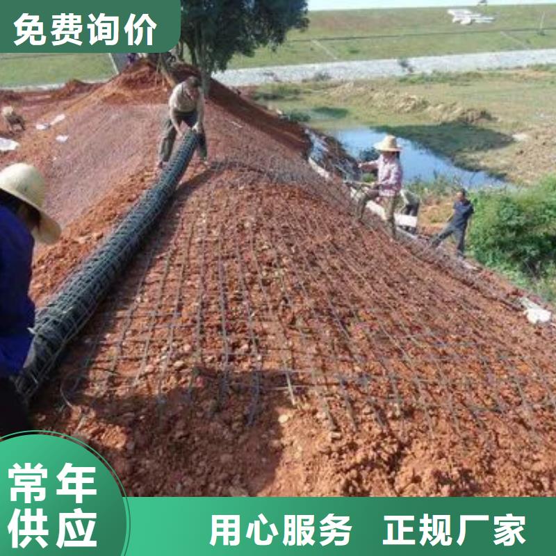 塑料格栅直销价格厂家