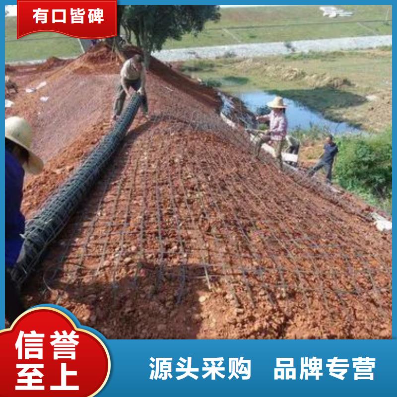 土工格栅【剪切钢纤维】正规厂家