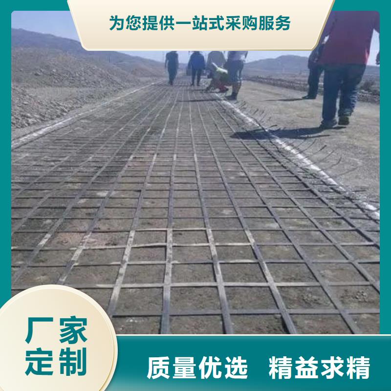 单向土工格栅支持定制厂家