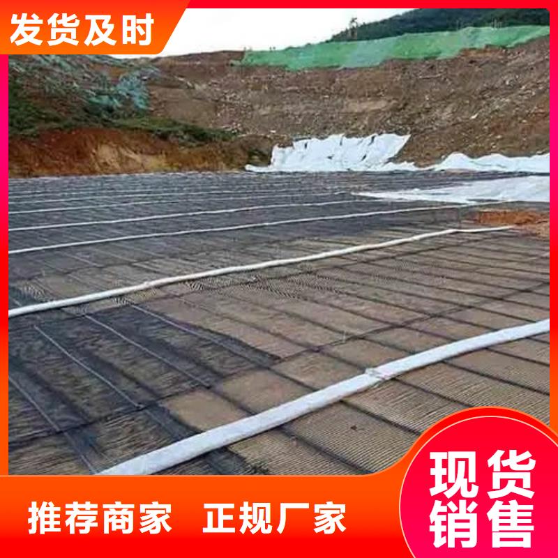 钢塑土工格栅价格低电话