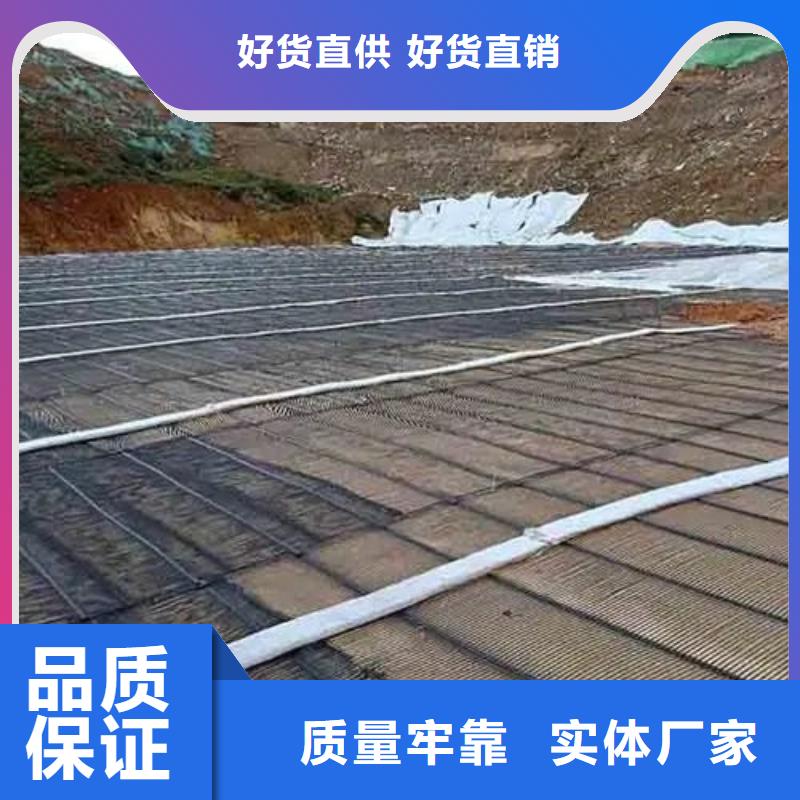 塑料格栅价格实惠厂家