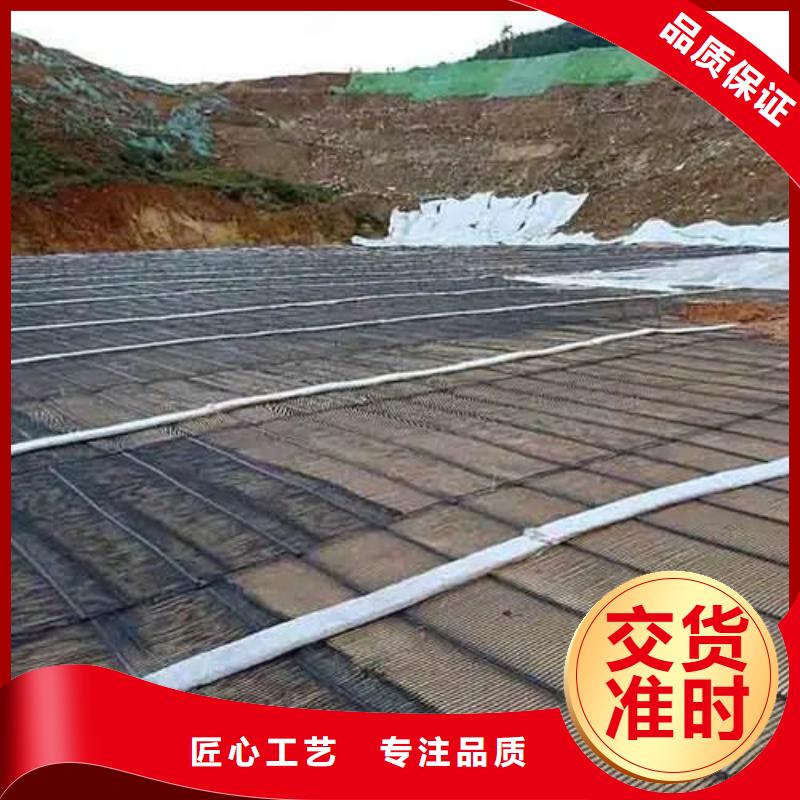 钢塑土工格栅良心厂家电话
