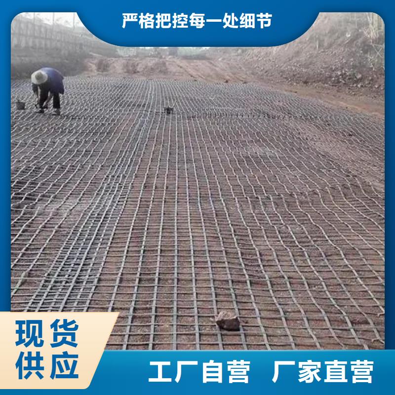 土工格栅一般铺在哪一层送货上门