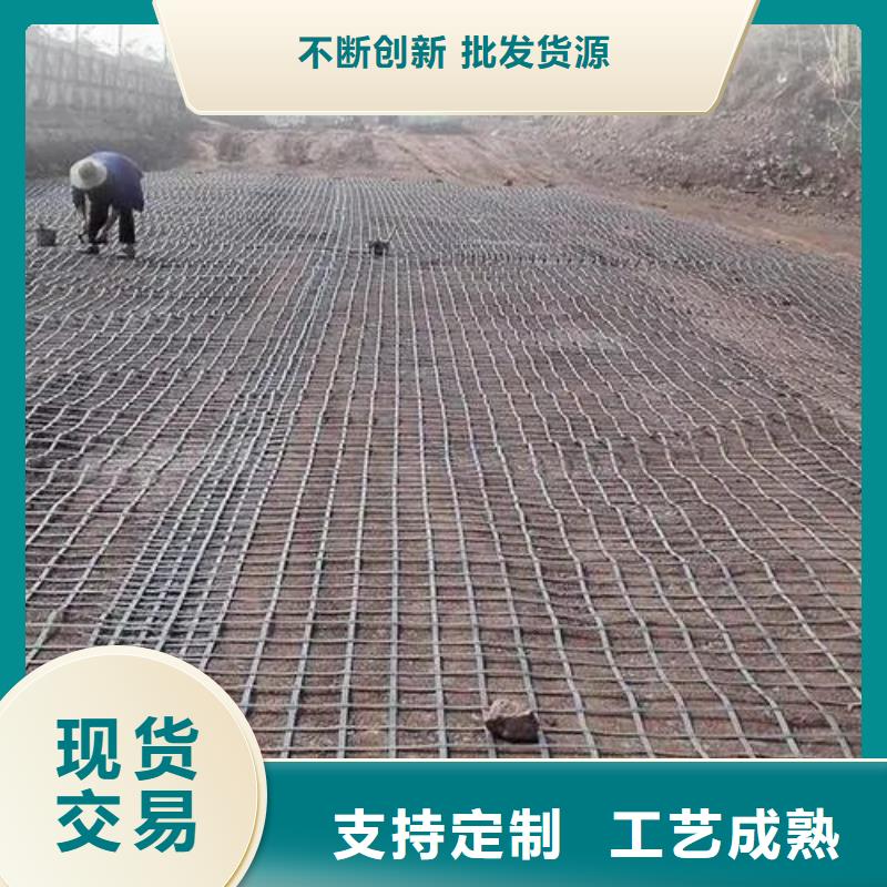 钢塑土工格栅解决方案厂家