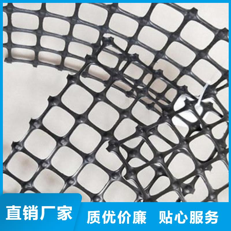 双向土工格栅种类齐全厂家