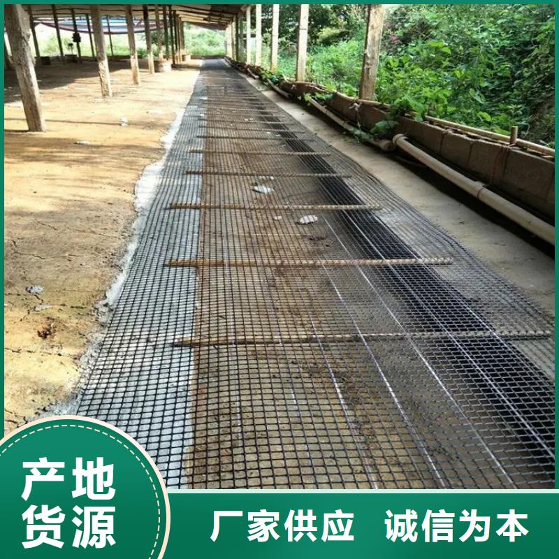 塑料格栅直供厂家厂家