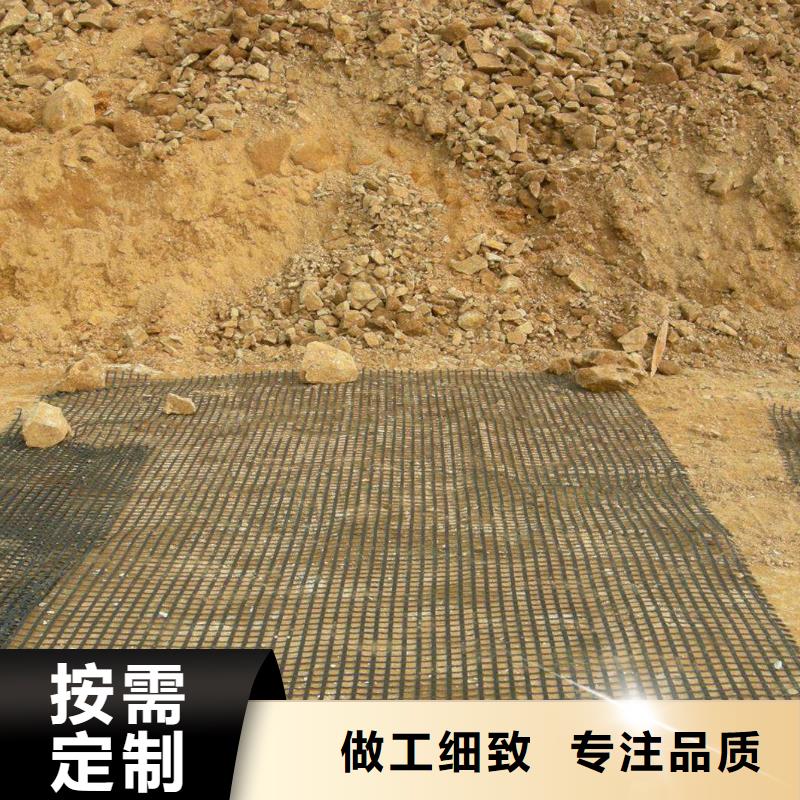 定安县钢塑格栅直销价格电话