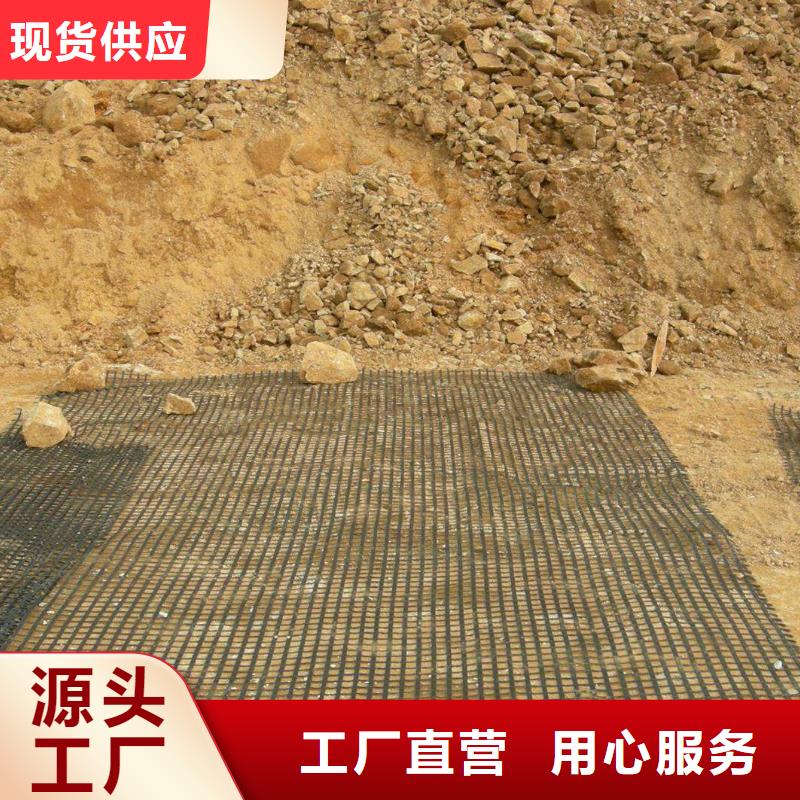 钢塑土工格栅2025标准、钢塑土工格栅2025标准生产厂家-值得信赖