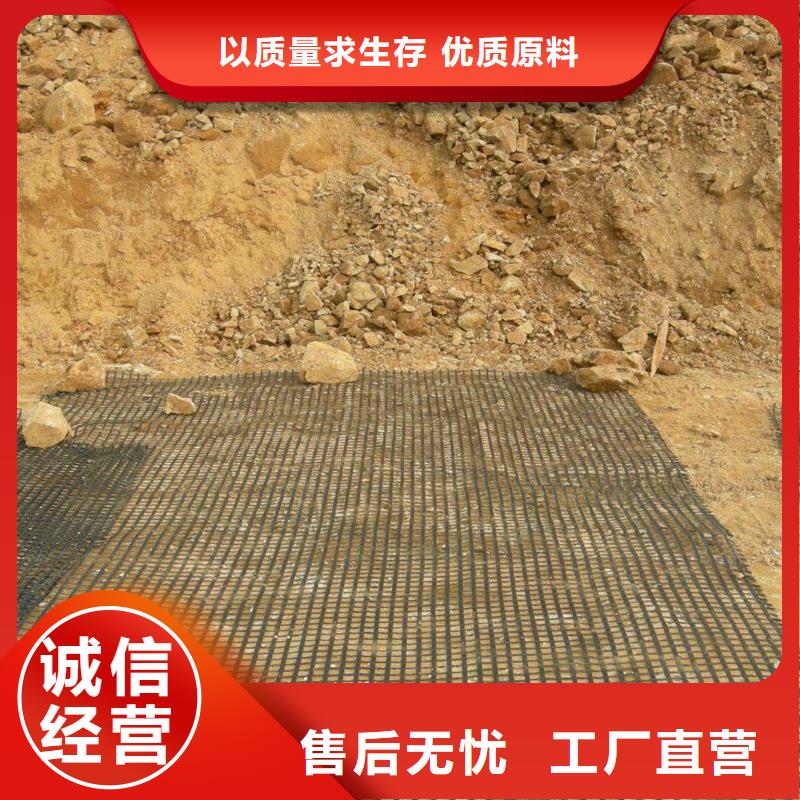 单向土工格栅价格合理厂家
