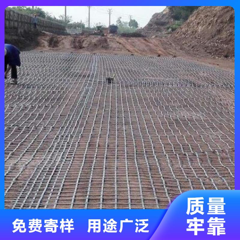 单向土工格栅种类齐全厂家