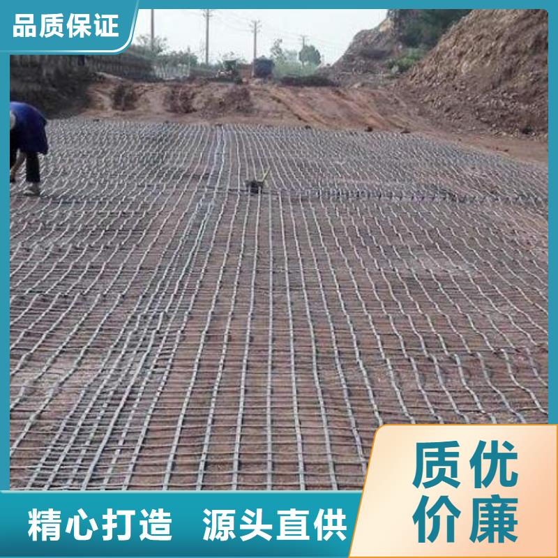 钢塑土工格栅价格合理电话