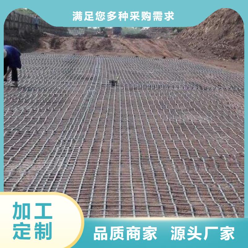 服务周到的钢塑土工格栅生产厂公司