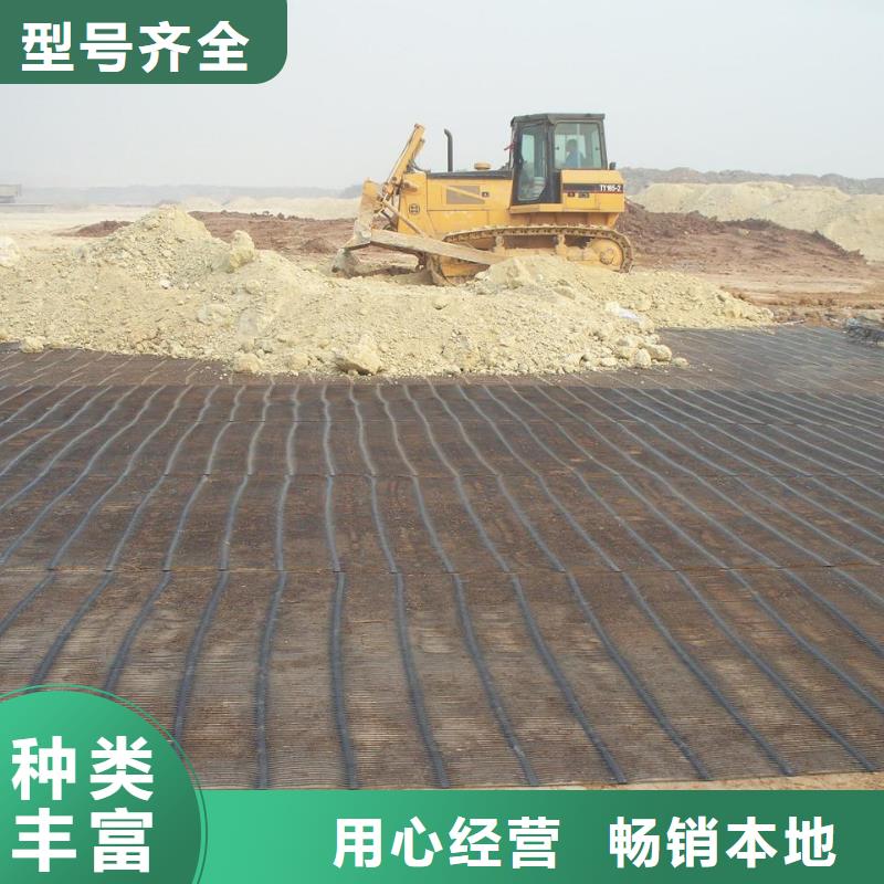土工格栅可定制厂家