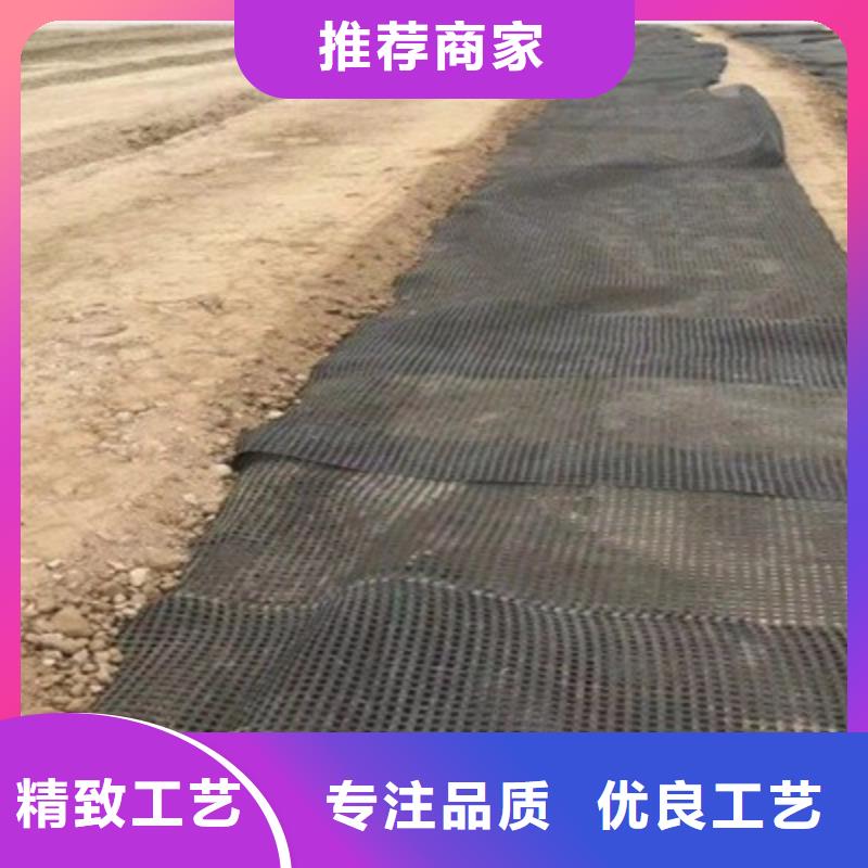 双向土工格栅本地厂家厂家