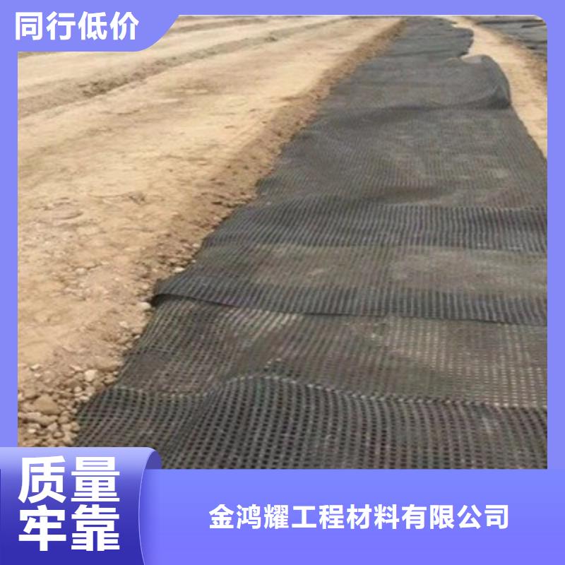 单向土工格栅货源充足厂家
