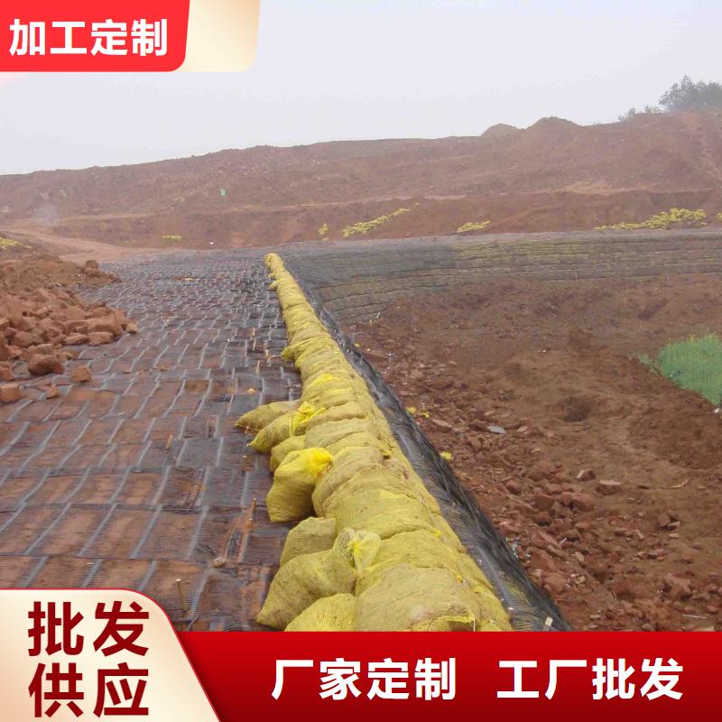 土工格栅可定制厂家