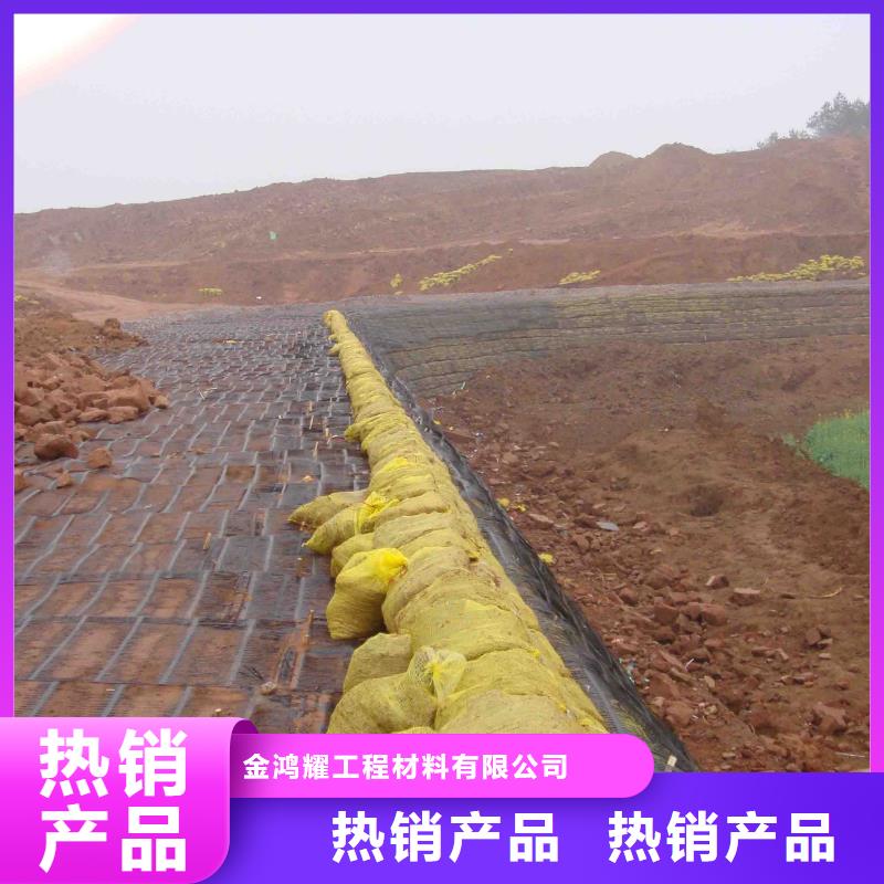 有现货的土工格栅规格型号基地