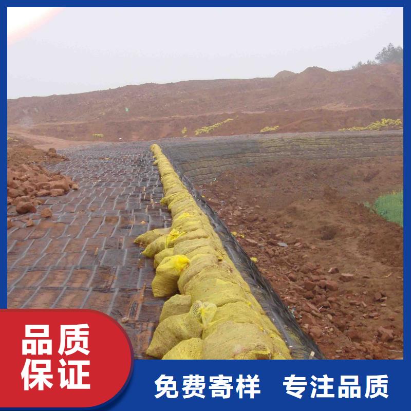 土工格栅价格优电话