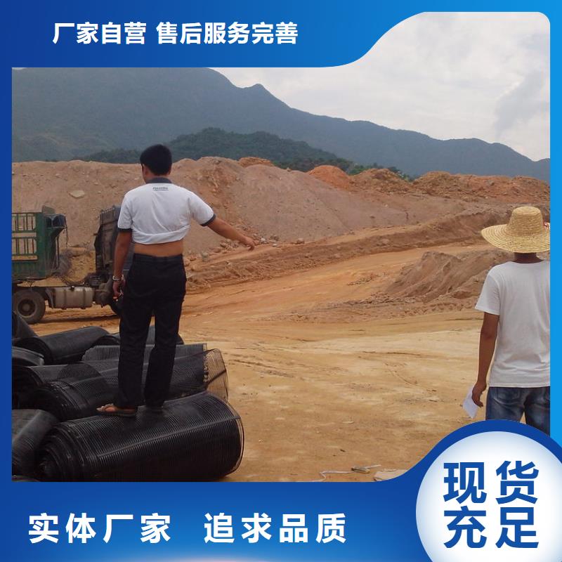 单向土工格栅支持定制厂家