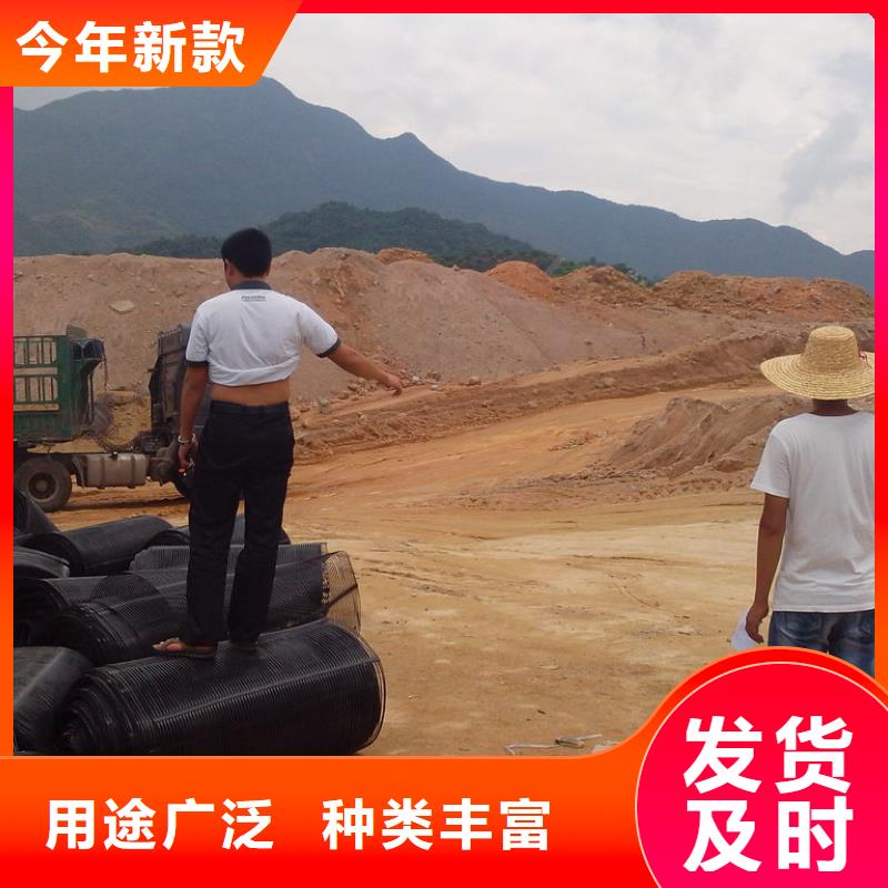双向土工格栅可定制厂家