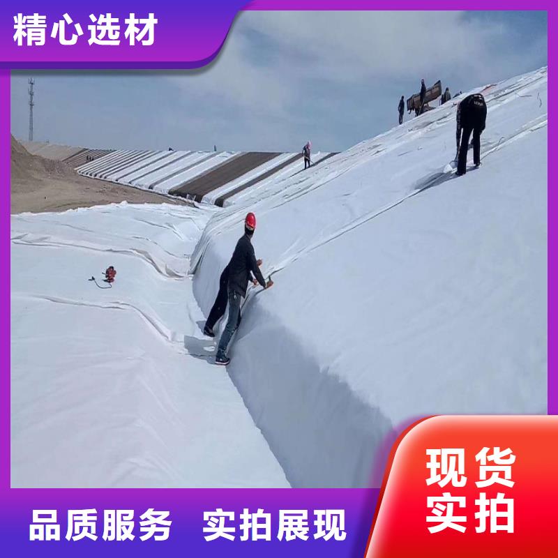 土工布-止水铜片质优价廉