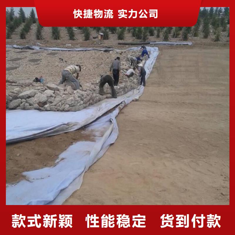 土工布-止水铜片质优价廉