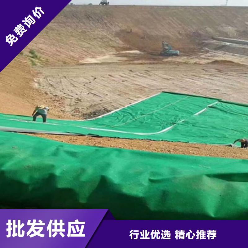 土工布-止水铜片质优价廉