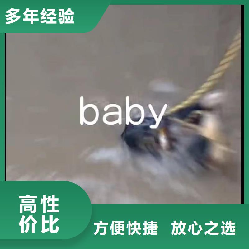 水下安装_水下管道砌墙精英团队