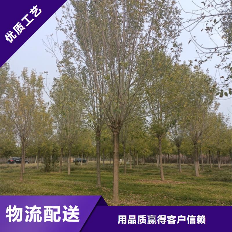 法桐来图定制量大从优