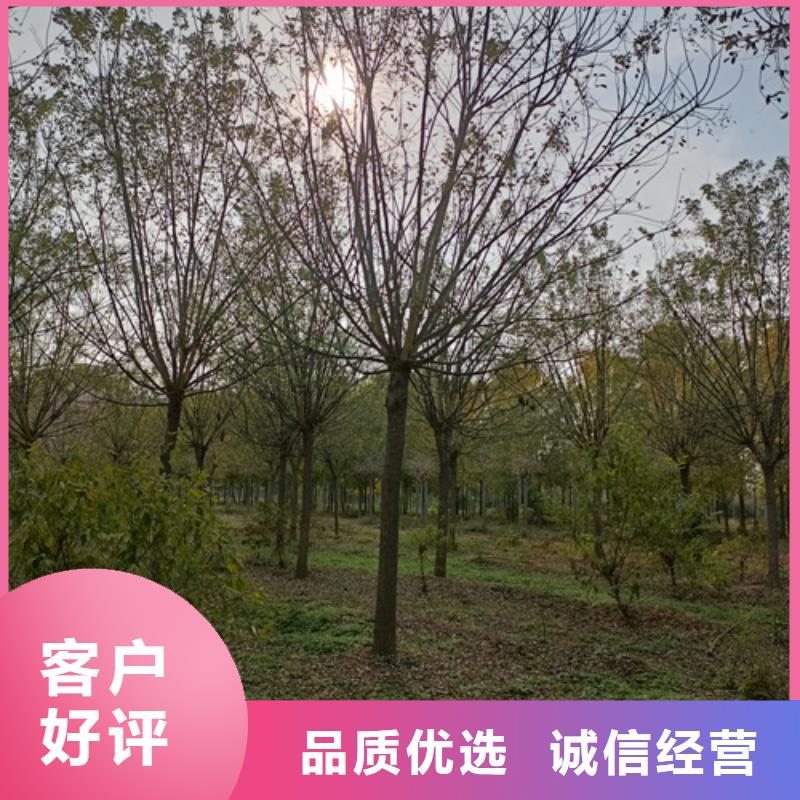法桐用心做好每一件产品