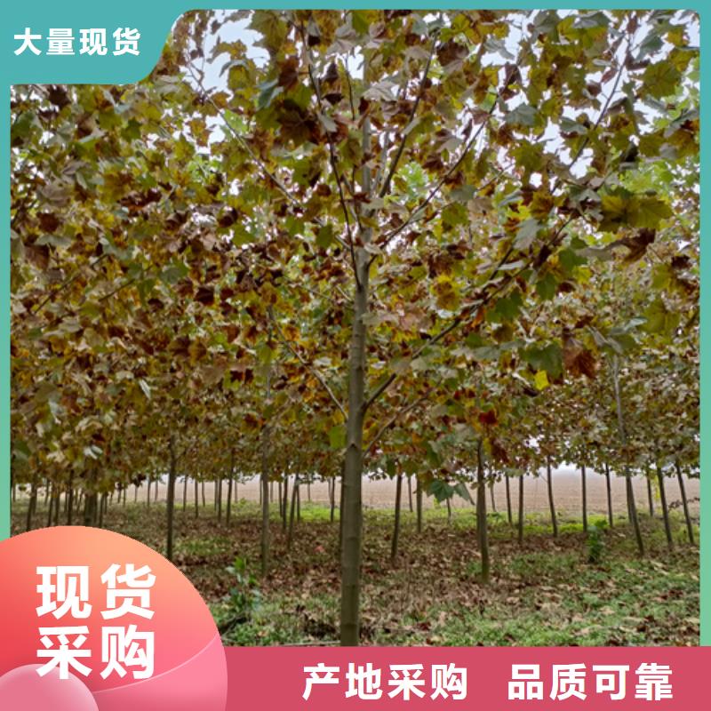 法桐用心做好每一件产品