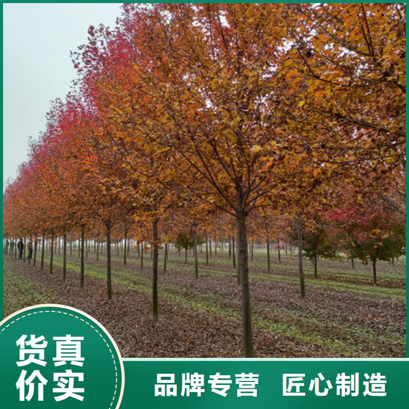 法桐用心做好每一件产品
