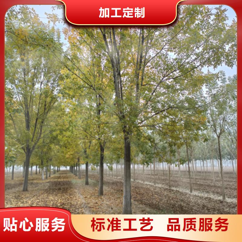 法桐来图定制量大从优