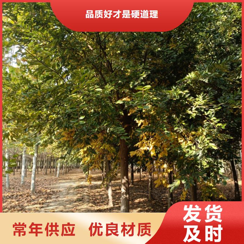 法桐来图定制量大从优