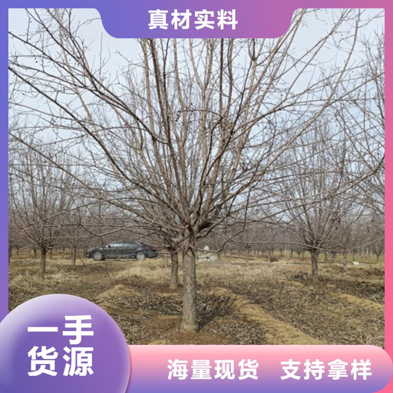 法桐用心做好每一件产品