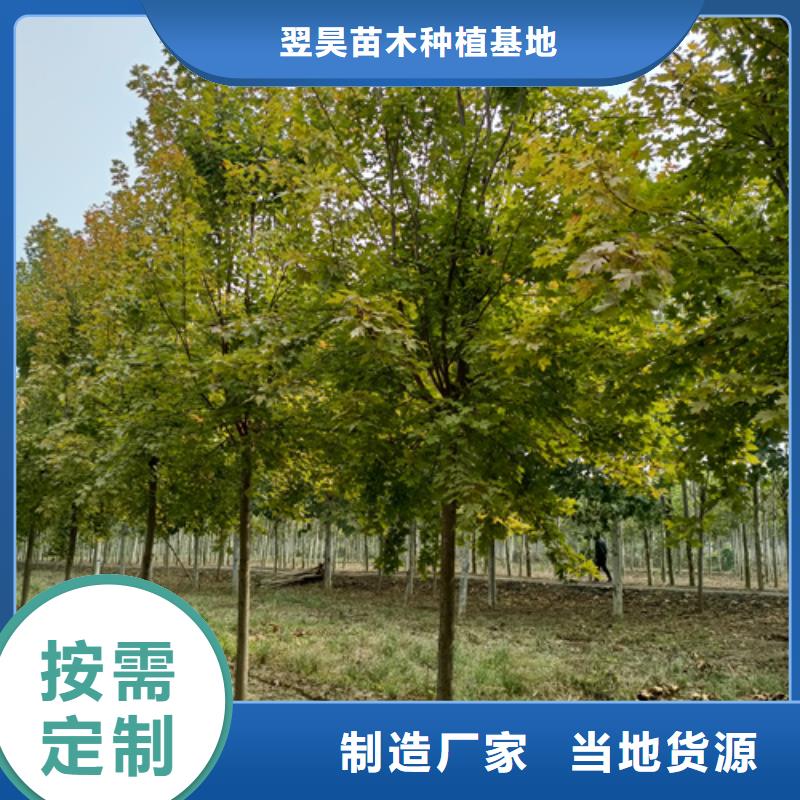 法桐用心做好每一件产品